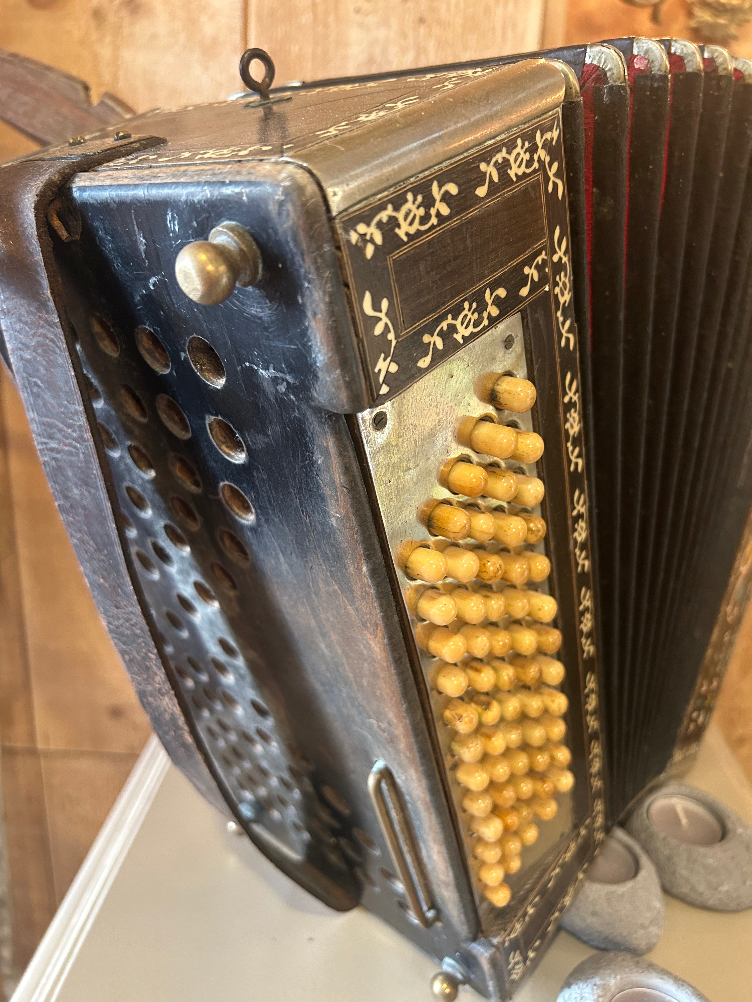 Accordéon Ditta Ricci