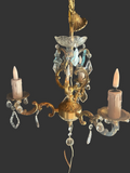 lustre cage papille