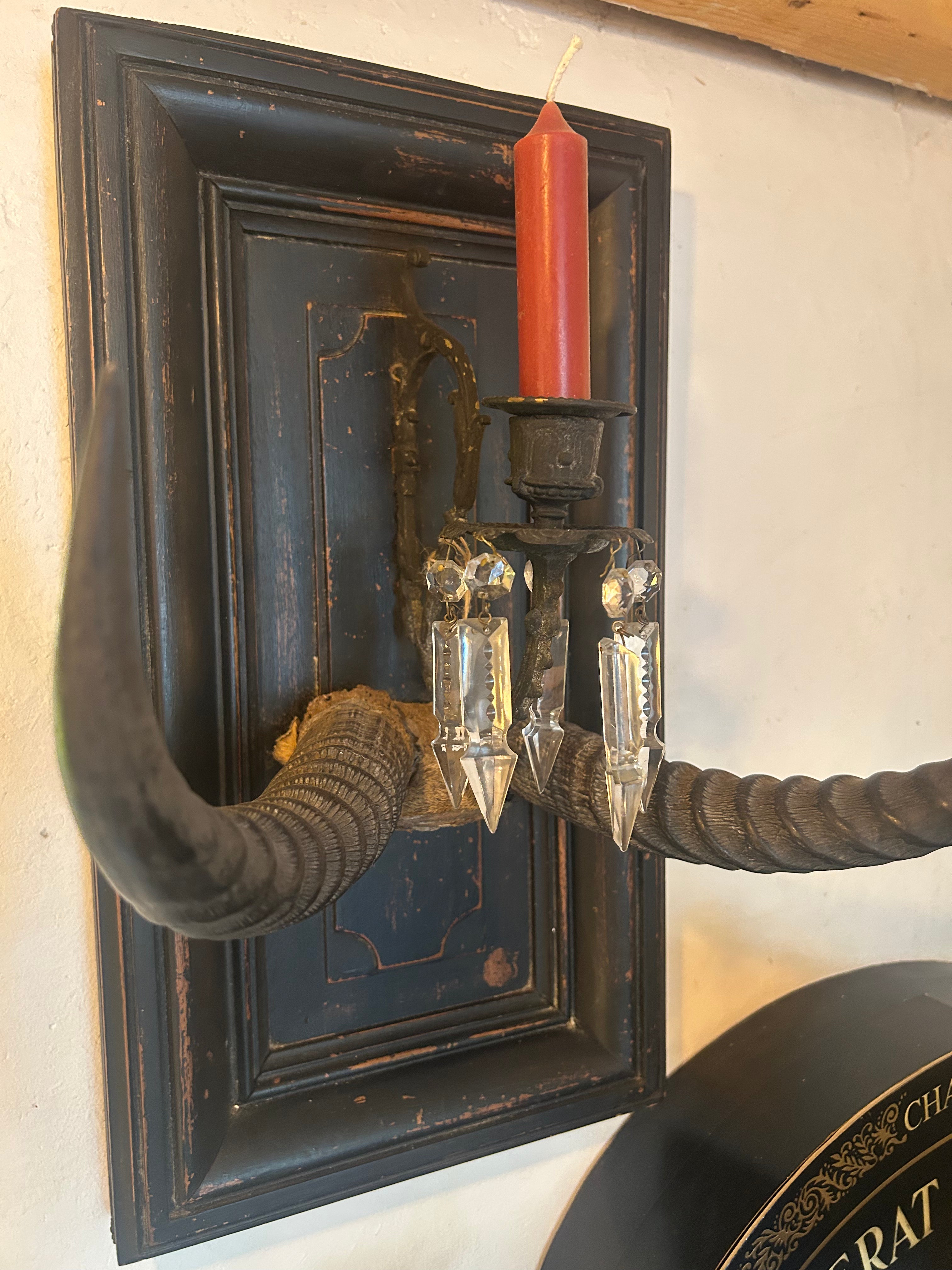 tableau curiosité cornes